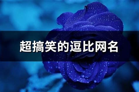 幽默的名字|150个创意搞笑吸引人的逗比网名